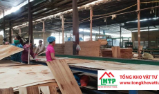 Chi tiết quy trình sản xuất ván ép phủ phim