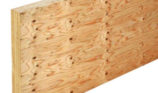 Tại sao LVL là sự lựa chọn vượt trội so với gỗ tự nhiên?