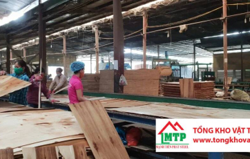 Chi tiết quy trình sản xuất ván ép phủ phim