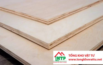 Ván ép gỗ Bạch Dương là gì? Những điều quan trọng cần biết về ván ép gỗ Bạch Dương