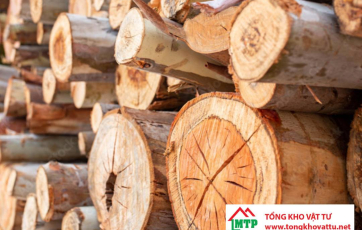 Ván ép được làm từ những loại gỗ nào? Khám phá 8 loại phổ biến nhất