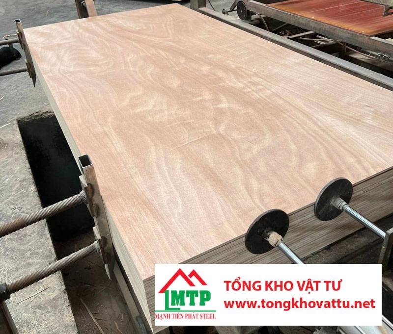 Các loại gỗ thường dùng để làm ván ép bao bì