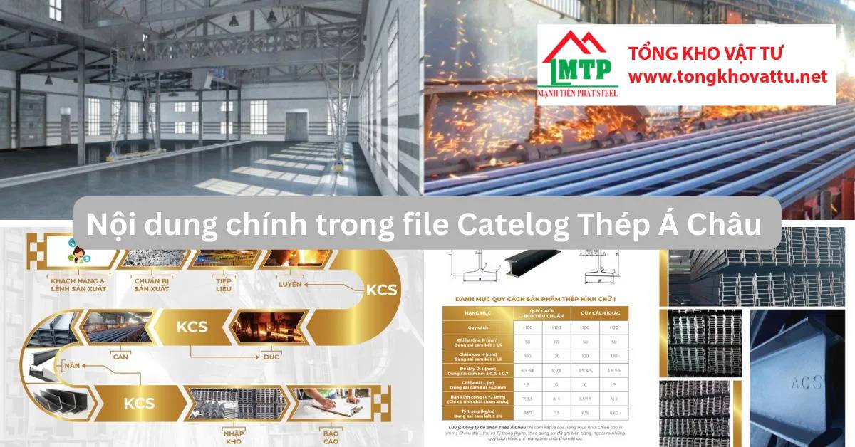 Catalog Thép Á Châu