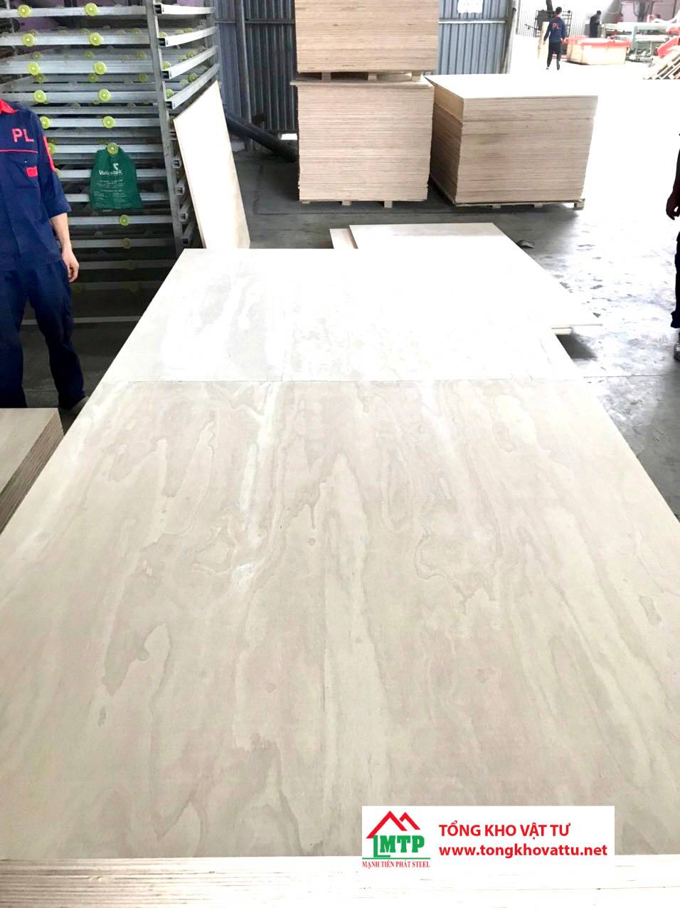 Gỗ Ván Ép Calibrated vs Gỗ Ván Ép Birch Điểm Khác Biệt Là Gì?