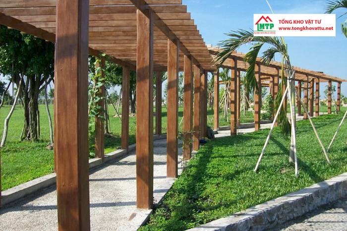 Gỗ xi măng Thái Lan: Ứng dụng và 4 loại phổ biến nhất