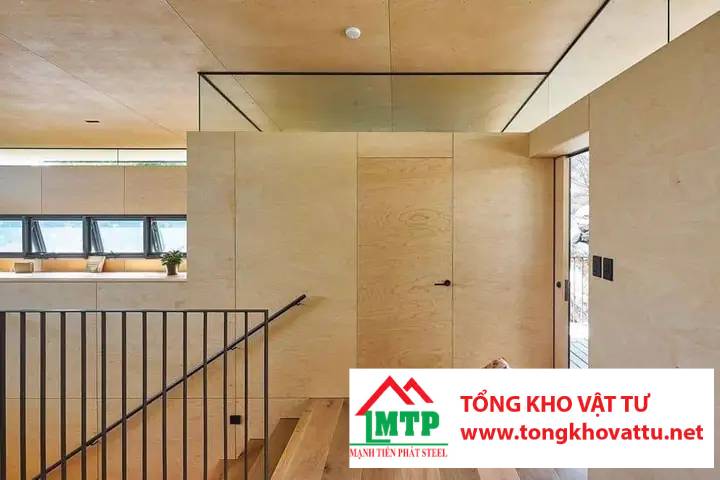 Hành trình tạo nên ván ép Birch cao cấp