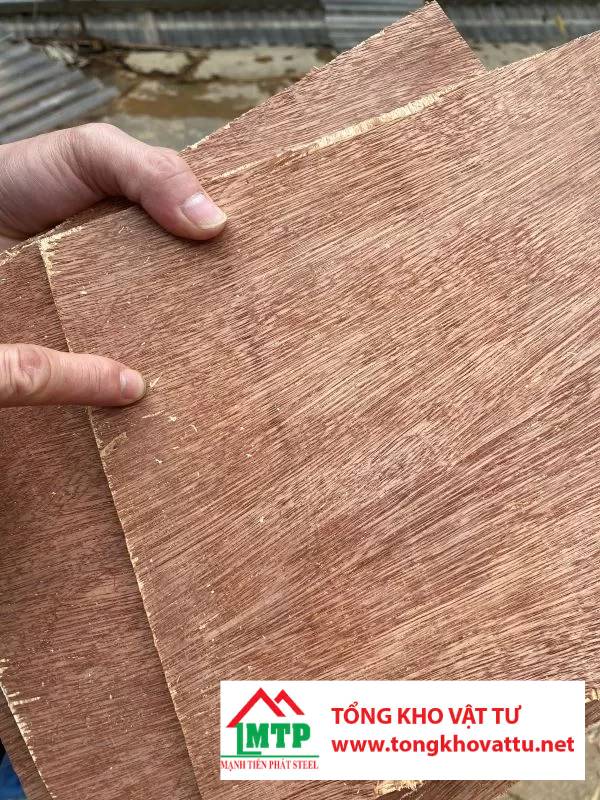 Mặt Bintangor áp dụng vào ngành gỗ ép