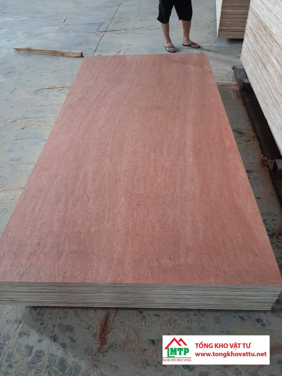 Mặt Bintangor áp dụng vào ngành gỗ ép