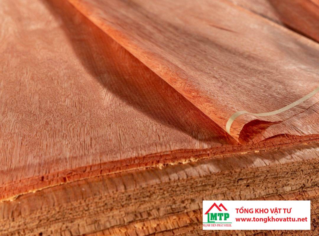 Mặt Bintangor áp dụng vào ngành gỗ ép