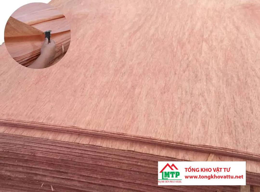 Mặt Bintangor áp dụng vào ngành gỗ ép