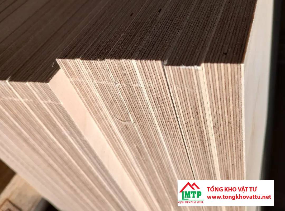So sánh Marine Plywood và Baltic Birch cho nội thất ven biển: Đâu là lựa chọn tối ưu?