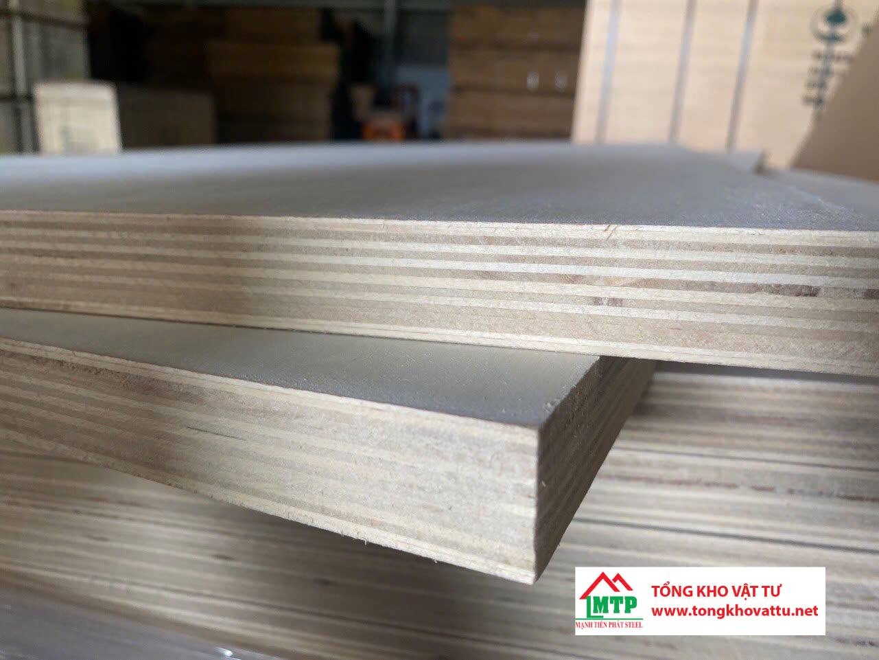 So sánh Marine Plywood và Baltic Birch cho nội thất ven biển: Đâu là lựa chọn tối ưu?