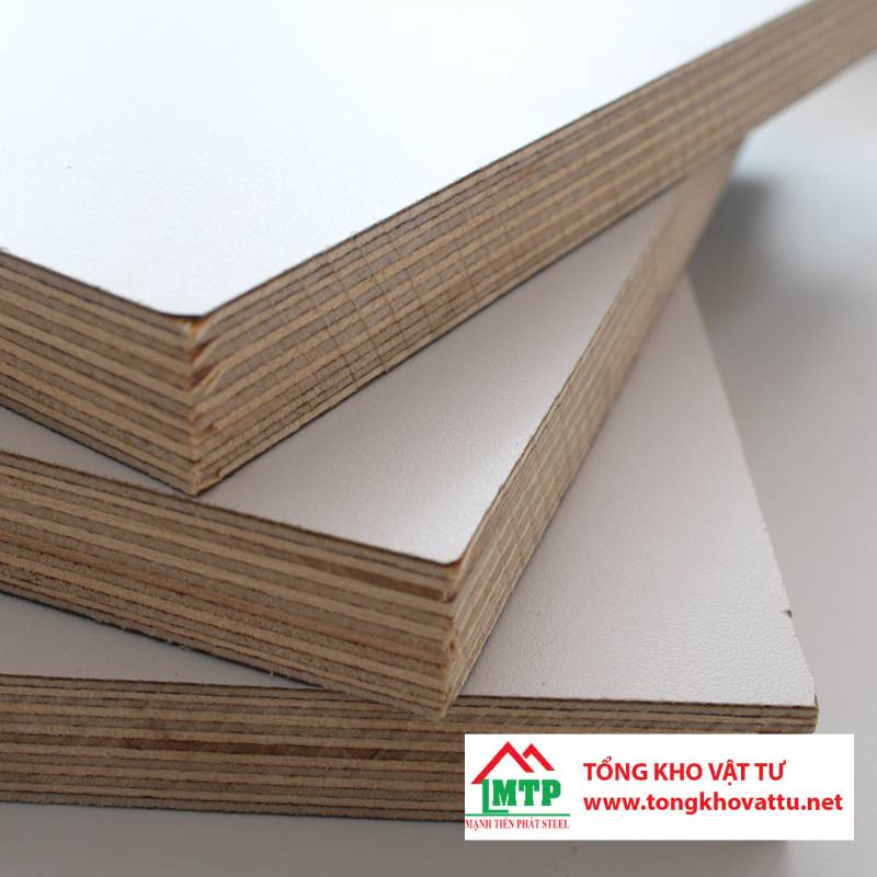 Sự khác biệt giữa ván ép bạch dương và ván ép gỗ bạch dương Baltic