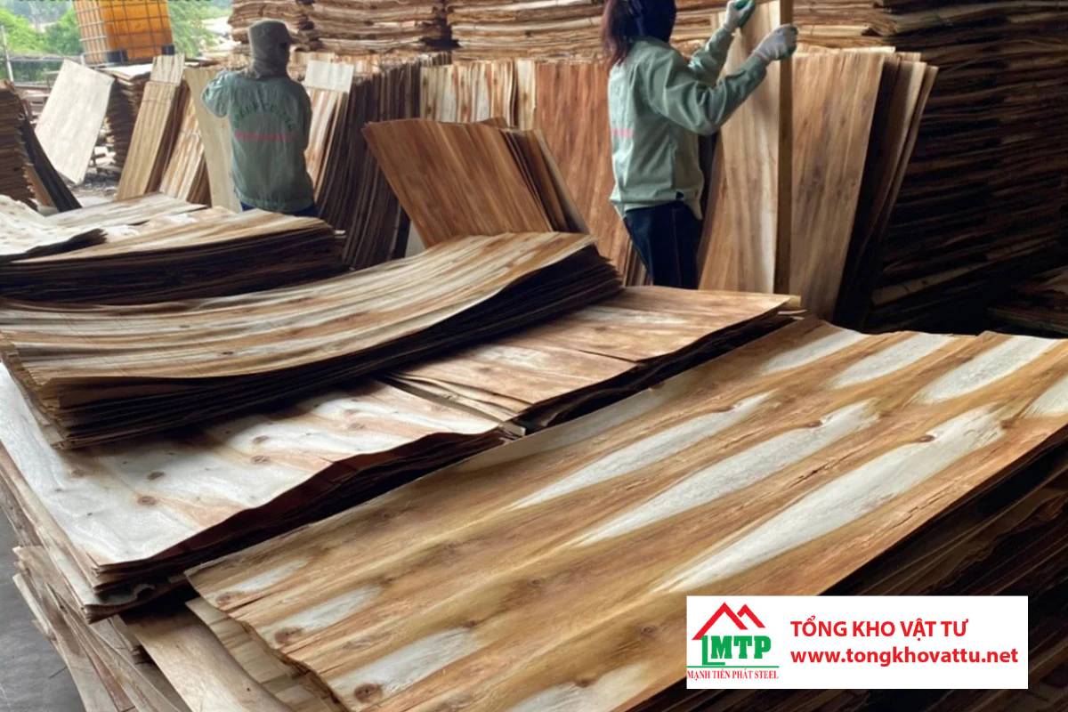 Tại Sao Phải Phơi Khô Độn Trước Khi Sản Xuất Ván Ép?