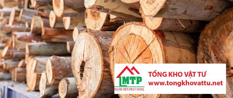 Ván ép được làm từ những loại gỗ nào? Khám phá 8 loại phổ biến nhất