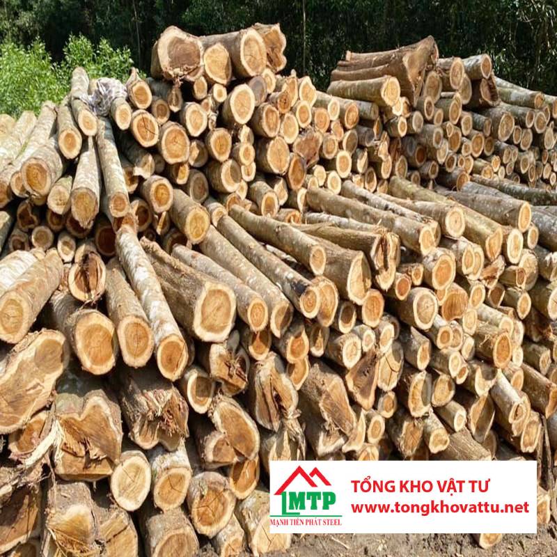 Ván ép được làm từ những loại gỗ nào? Khám phá 8 loại phổ biến nhất