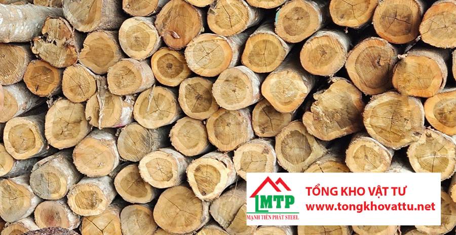 Ván ép được làm từ những loại gỗ nào? Khám phá 8 loại phổ biến nhất