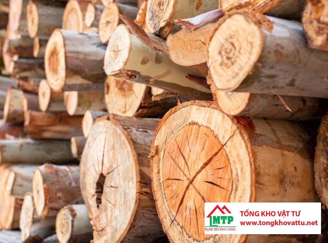 Ván ép được làm từ những loại gỗ nào? Khám phá 8 loại phổ biến nhất