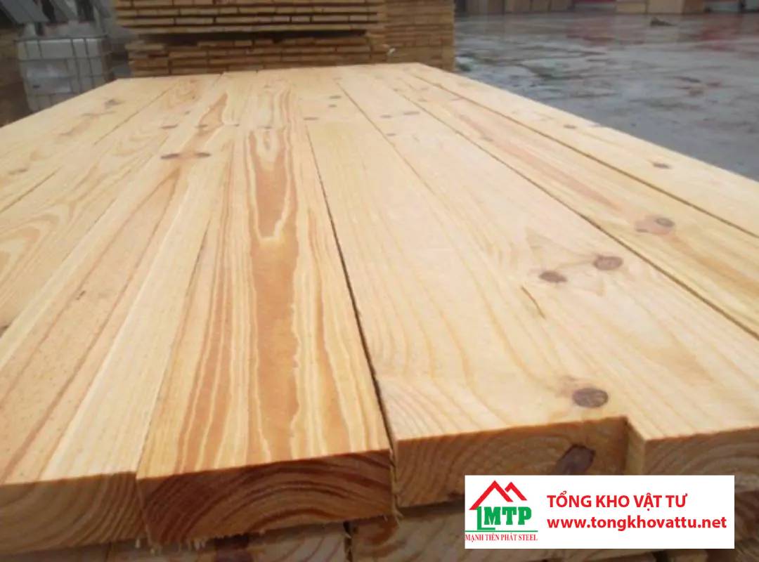 Ván ép được làm từ những loại gỗ nào? Khám phá 8 loại phổ biến nhất