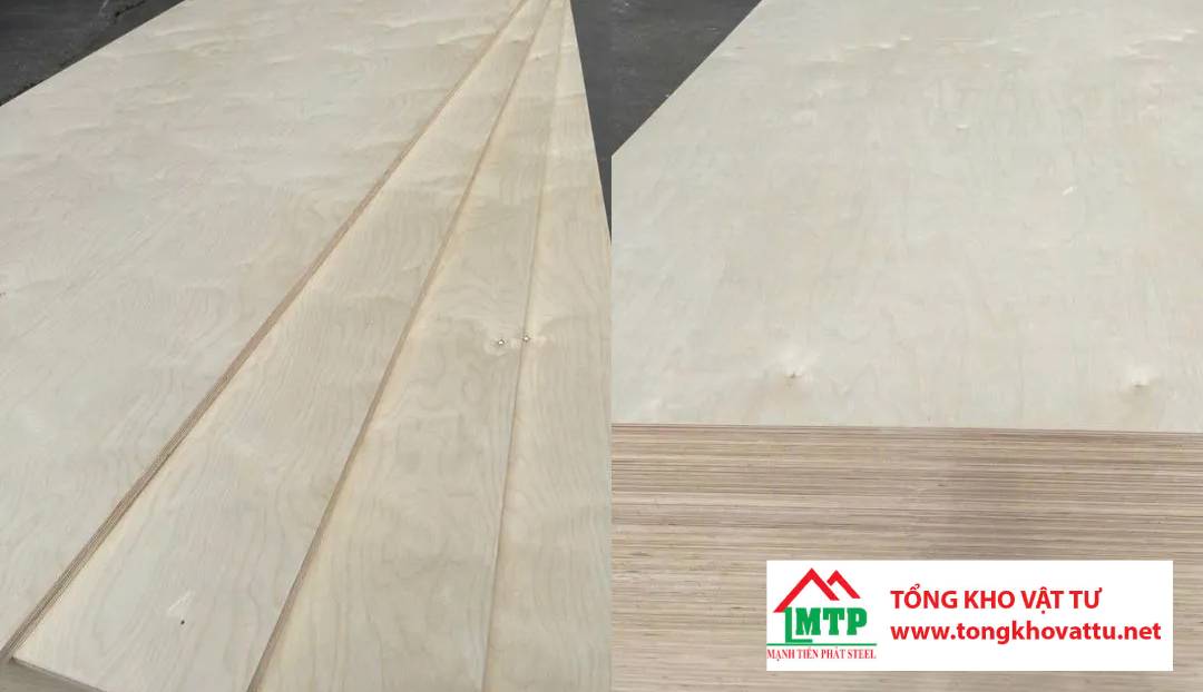 Ván ép gỗ Bạch Dương là gì? Những điều quan trọng cần biết về ván ép gỗ Bạch Dương