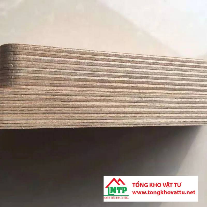 Ván ép gỗ Bạch Dương là gì? Những điều quan trọng cần biết về ván ép gỗ Bạch Dương
