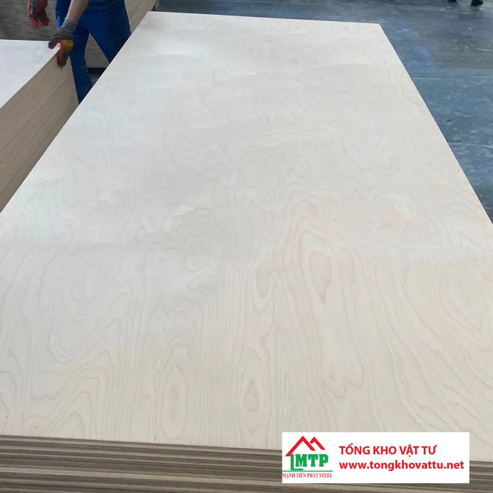 Ván ép gỗ Bạch Dương là gì? Những điều quan trọng cần biết về ván ép gỗ Bạch Dương