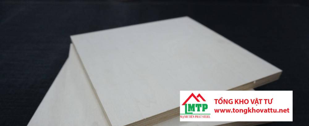 Ván ép gỗ Bạch Dương là gì? Những điều quan trọng cần biết về ván ép gỗ Bạch Dương