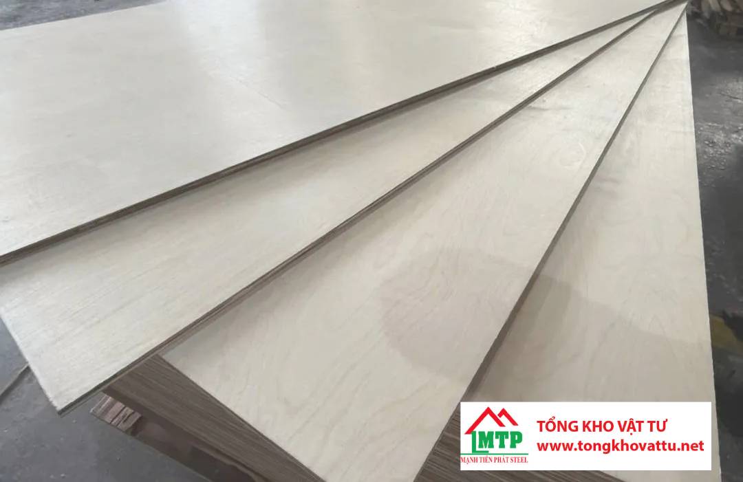 Ván ép gỗ Bạch Dương là gì? Những điều quan trọng cần biết về ván ép gỗ Bạch Dương