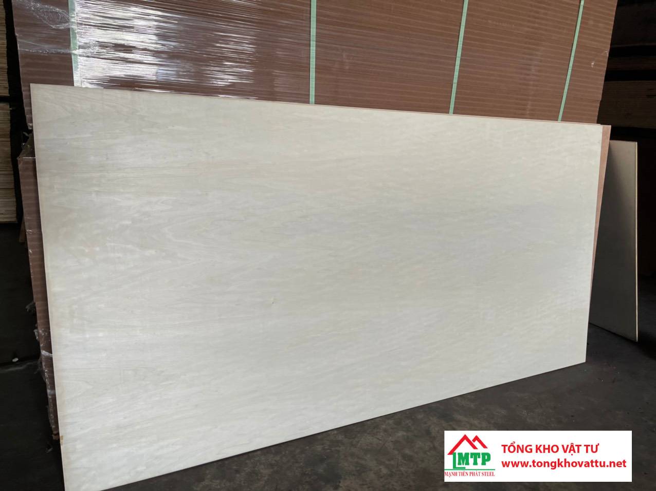 Ván ép gỗ Bạch Dương là gì? Những điều quan trọng cần biết về ván ép gỗ Bạch Dương