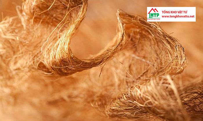 Sợi Cellulose