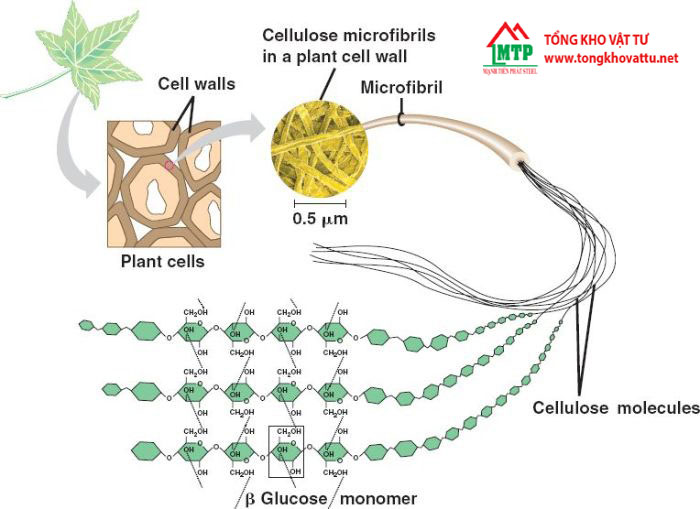 Sợi tinh chế Cellulose